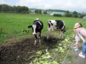 kCΒ̐i|CgƐi\tgN[̋LTlC