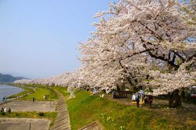 ݂̂̏sApقōł̋LTlC