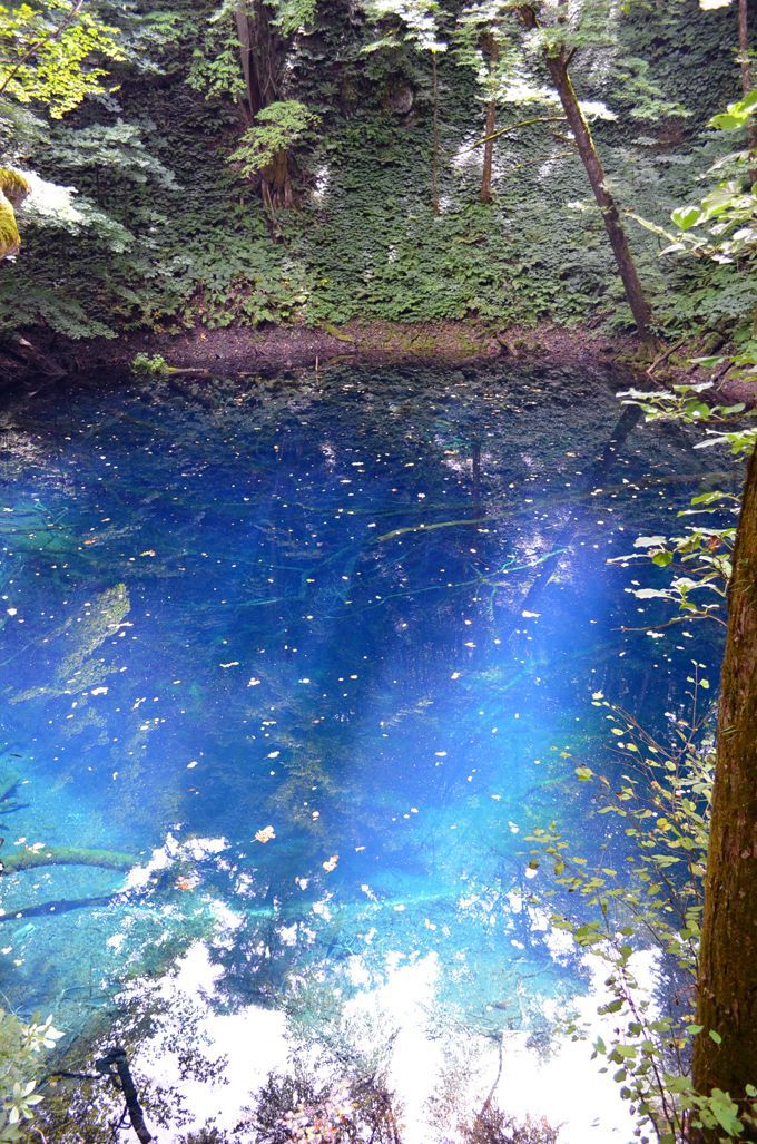 世界遺産白神山地と神秘の十二湖を散策しよう 青森県 トラベルjp 旅行ガイド