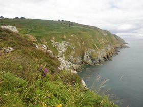 ACh̃_uAufRnCLCOv̋LTlC