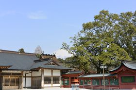 �o��Ȃ��Ă��x�m�R�̃p���[����������u�x�m�R�{�{��ԑ�Ёv�E�G�̋L���T���l�C��