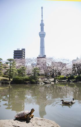 �����X�J�C�c���[�̂��G���u���c�����v�͍]�ˏ�̕�ɂ̋L���T���l�C��