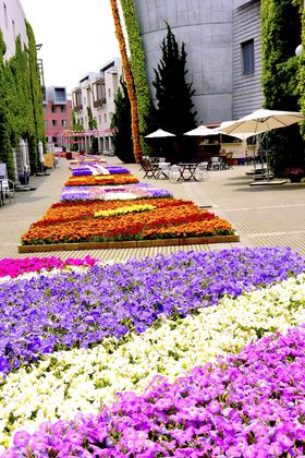 Ԃ̍ՓTƃCtFAŐオI GẂu]i[xvւ̋LTlC