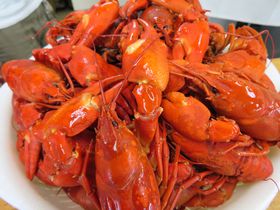 �����΂̃U���K�j�������I�Z���~�\�Ə�i�ȊÂ݂̐g�����\�̋L���T���l�C��