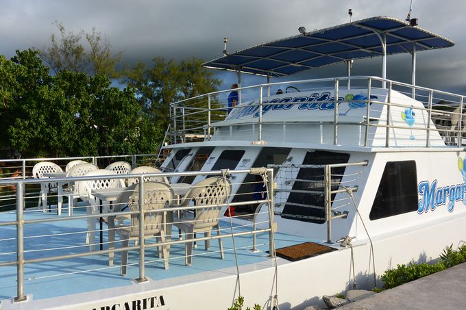 ^悯΃CJEHb`Oy߂fBi[N[Y