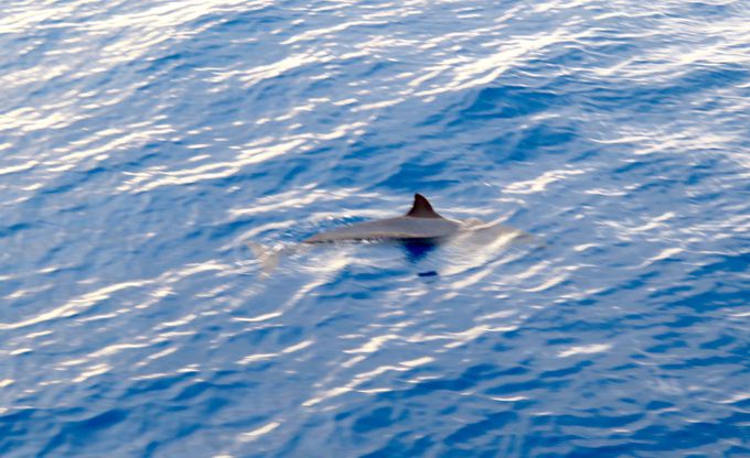 ^悯΃CJEHb`Oy߂fBi[N[Y