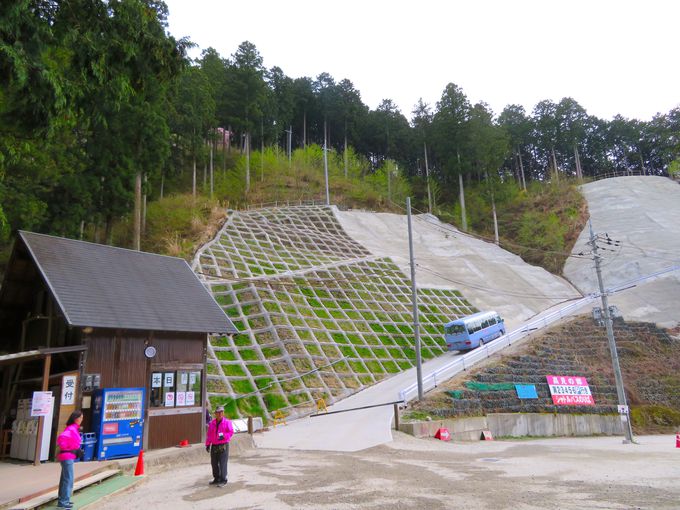 山中に桜の絶景 奈良 東吉野村 高見の郷 の開園は4月下旬まで 奈良県 Lineトラベルjp 旅行ガイド