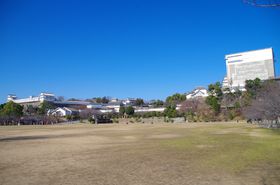 ��̓h���}�u�R�t�����q�v�̎���̖��c���Ƃǂ߂�u�P�H��v�B�m���Ă����ƃh���}���ό�������Ɋy���߂�I�̋L���T���l�C��