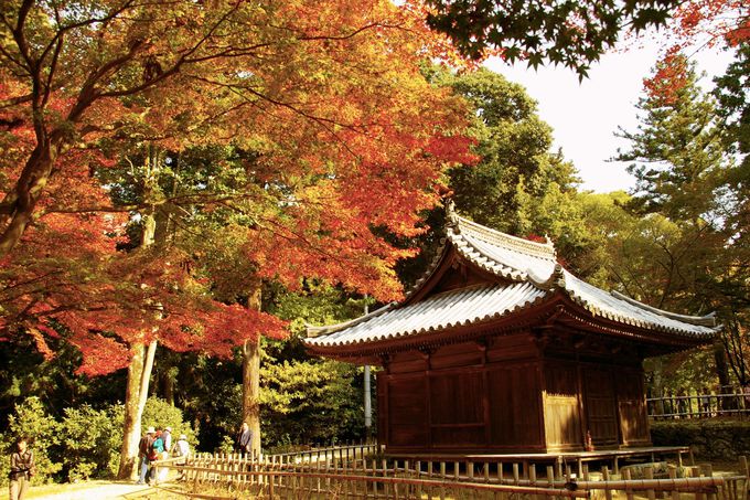 書写山円教寺で感じる姫路の秋 紅葉が彩る悠久の古刹へ 兵庫県 トラベルjp 旅行ガイド