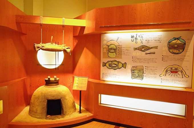 いつでも自由に無料で見学「納豆博物館」