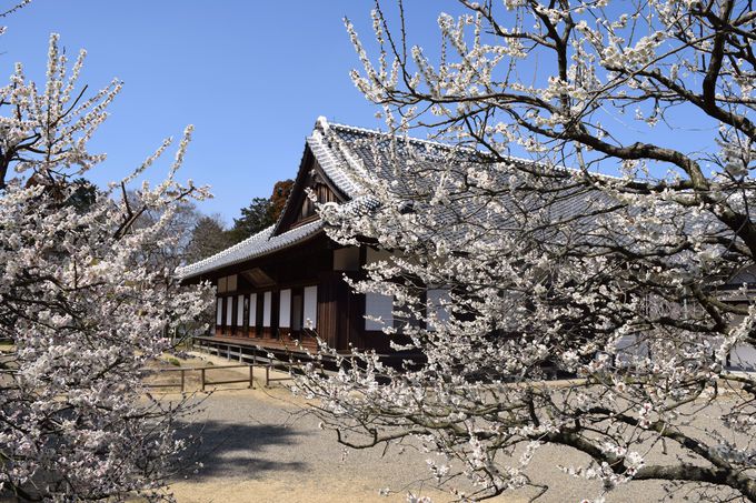 日本最大の藩校・弘道館、水戸の心ここにあり