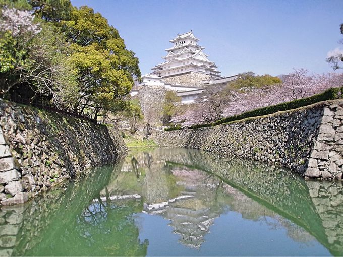 「お城の見える動物園」姫路市立動物園内も桜の名所