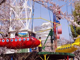 姫路城と桜を見るならココ！撮影おすすめスポット10選