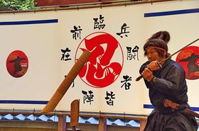 ɉόȂE҉~ ^̔E҂ɉɉꗬEҔق̋LTlC