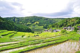 ���{����VS�b�������A�`���̉A�z�t�Ό��̒n�I ���Ɍ����p���̋L���T���l�C��