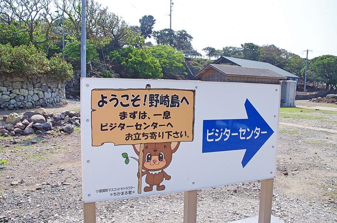 野崎島を楽しむために知っておくべきこと
