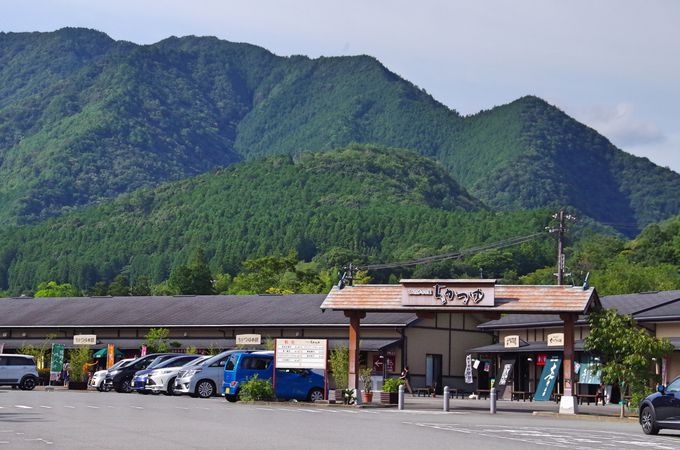 プラン２：もうひとつの王道スポット熊野古道