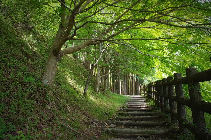 14時出発：熊野古道、中辺路を歩く 牛馬童子口から箸折峠