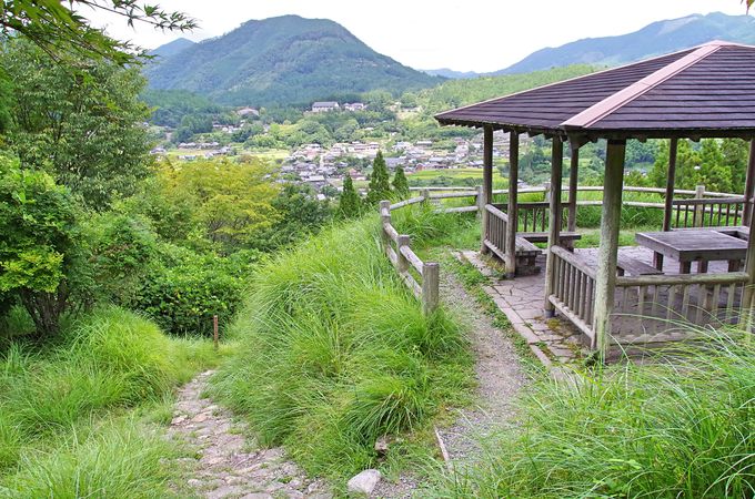 熊野古道、中辺路を歩く 箸折峠から近露王子へ