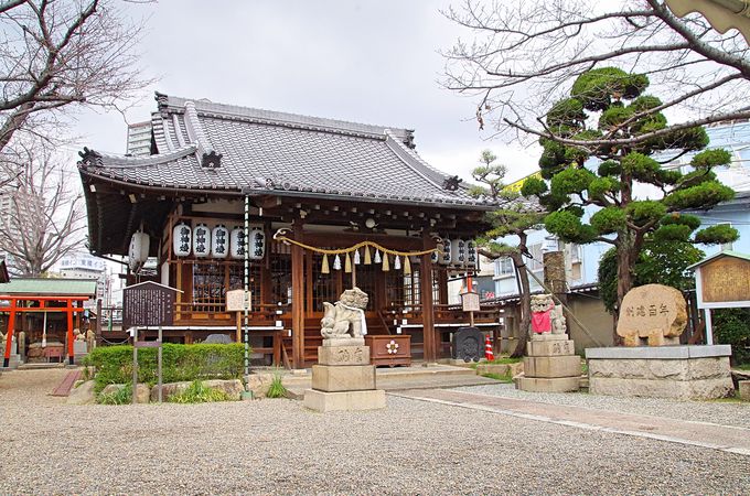 櫻井松平氏をまつる櫻井神社など周辺散策もおすすめ