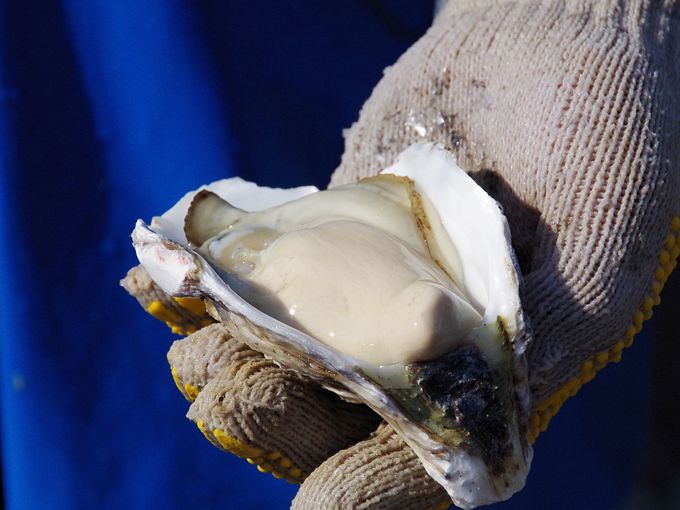 ŜЂɂȂuZv̐܂ڂɋ