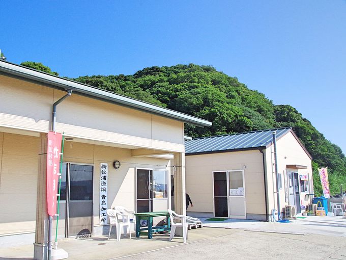 ŜЂɂȂuZv̐܂ڂɋ