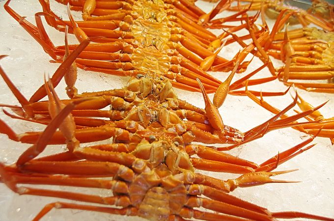 �x�j�Y���C�K�j�̃V�[�Y����9������6��