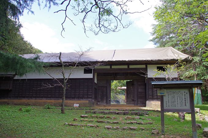 ĎqՂ̂ߓo郋[g͞e`Ռ