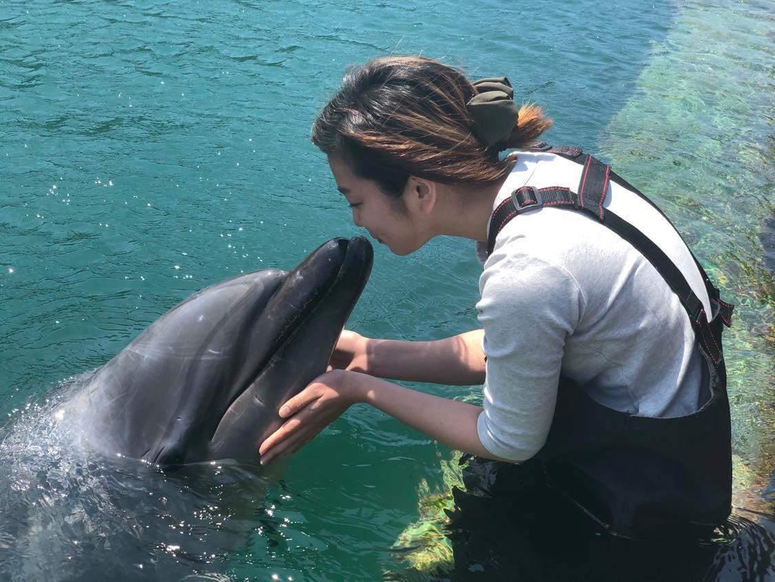 1日1組限定イルカと泊まれる 壱岐イルカパーク リゾート 長崎県 Lineトラベルjp 旅行ガイド