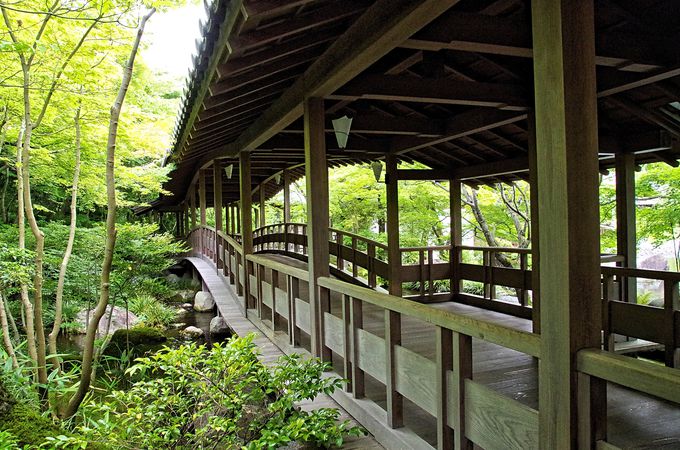「姫路城西御屋敷跡庭園 好古園」は時代劇ロケの定番スポット