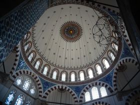 CX^u[̏ȕ΁BXeEpVEW~C͏G̔I̋LTlC