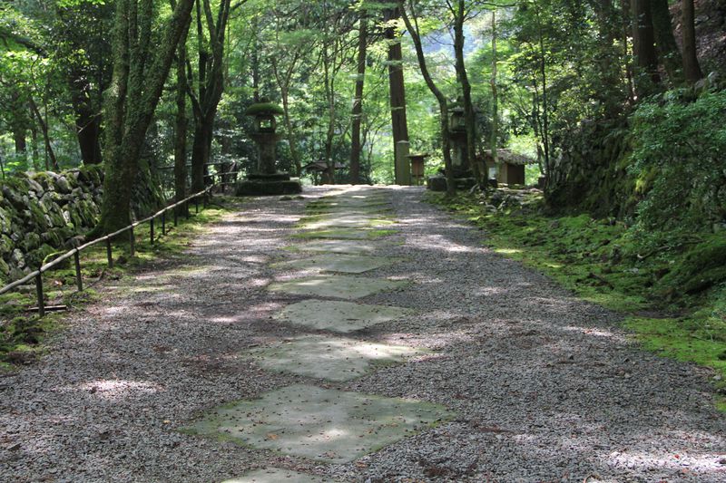 “鳥獣人物戯画”伝来の深山の名刹 京都“高山寺”は四季折々の景観が美しい！