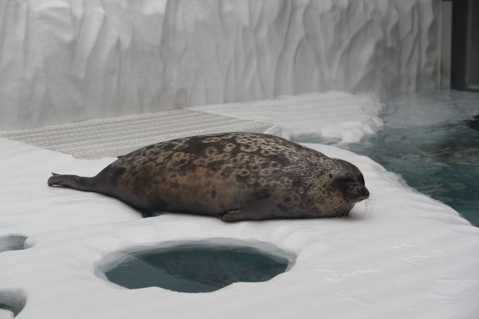 F̂悤ȁuĆvƌ邾ȂuV̊GAvyI