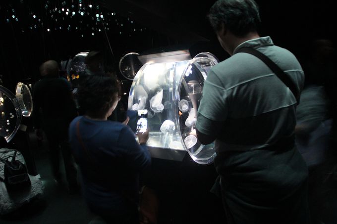 F̂悤ȁuĆvƌ邾ȂuV̊GAvyI