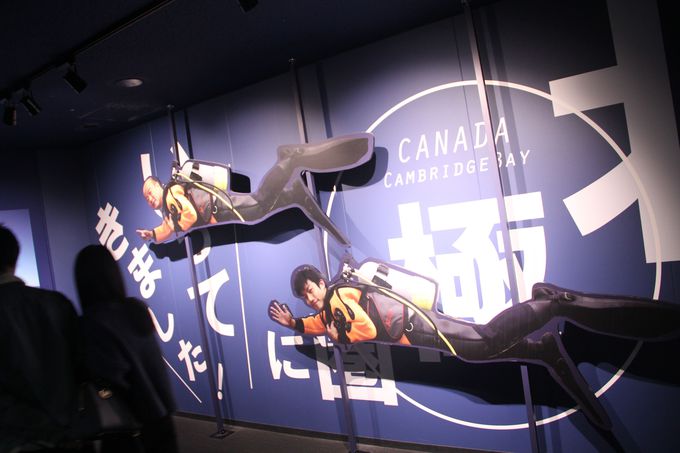 F̂悤ȁuĆvƌ邾ȂuV̊GAvyI