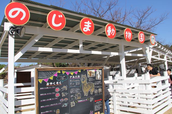 WH̖͂l܂û܃XR[v͔pZĐ̃j[X|bg