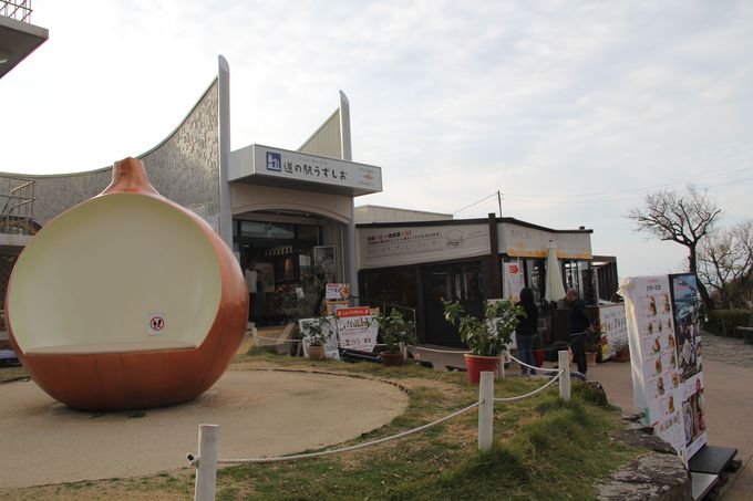 O߂i|CgủwvŖڂ喞I