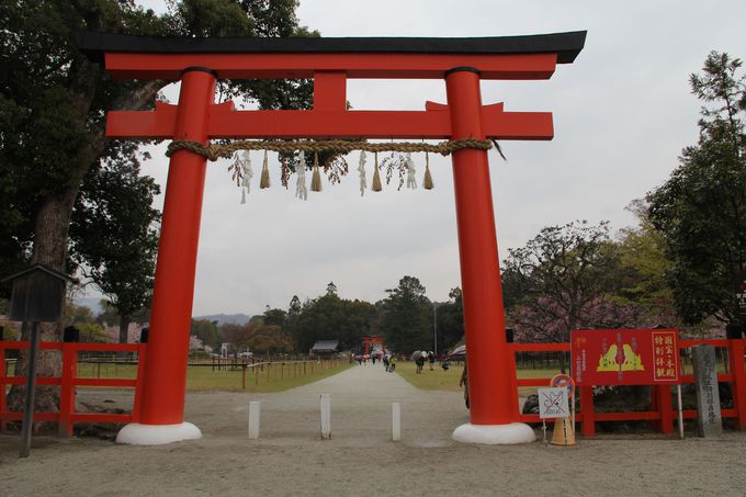世界遺産 上賀茂神社 の社家町には驚きグルメや見どころが満載 京都府 トラベルjp 旅行ガイド