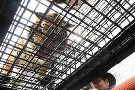 PHZgp[Nu`Chv͓Ƃ̋߂߂I̋LTlC