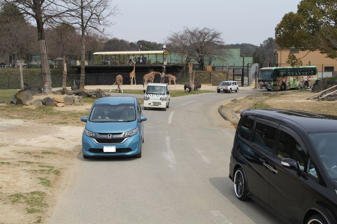 ӊOɉHIGTŃCIƂ̐S̋k߂悤