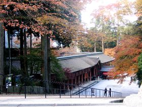 �������{��́u��{�P�[�u���v�ōs����b�R����̋L���T���l�C��