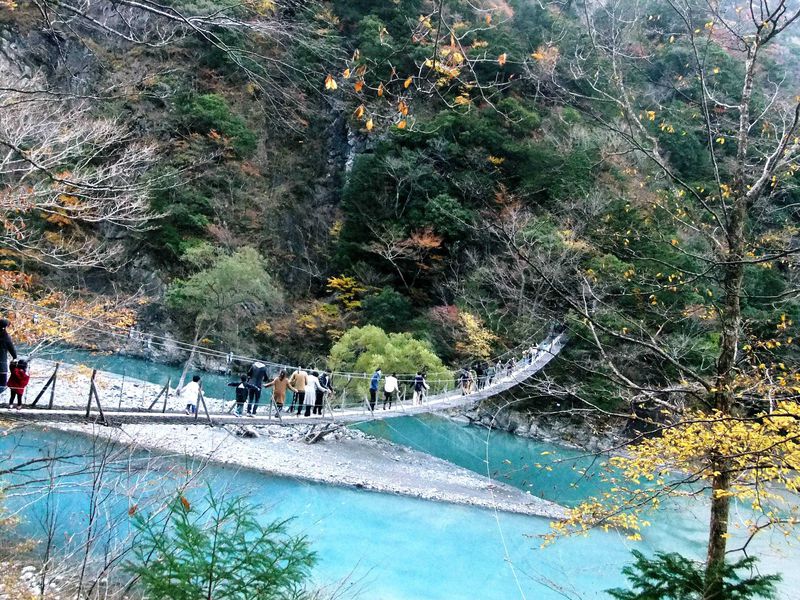 世界のベスト１０にランクインした日本屈指の吊り橋とは！？