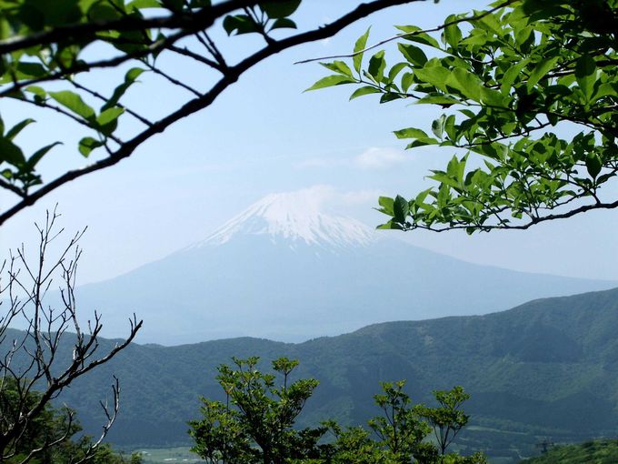 富士山ビューポイントで大パノラマの景色を堪能
