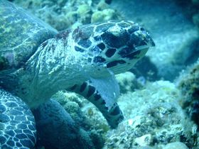 �J�������D���I�E�~�K���ƕ��ސ��E��Y���}���փE�F���J����̋L���T���l�C��