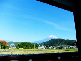 �Y��ȕx�m�R�Ŗ�����x120���I�B��ƓI�Ö��ƃJ�t�F�u�����v�I�̋L���T���l�C��