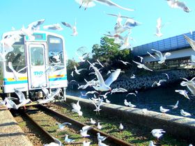 �l���΂̏{�����͂��I�~�ɂ����y���߂Ȃ����o�ƕ������Ŗ��i�v�����I�̋L���T���l�C��