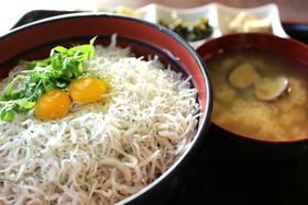 Cńủwv10IIK肽߂̓RR̋LTlC