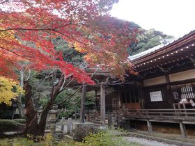 西行ゆかりの古刹、京都・花の寺「勝持寺」は紅葉もお勧め！