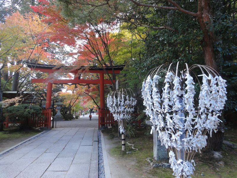 みくじ掛けがハートの形？！京都「大原野神社」で良縁祈願！