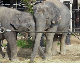 ���j���[�A���������s�s�������̂������������I�����|�C���g�̋L���T���l�C��